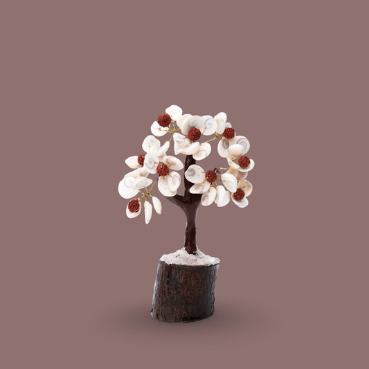 Cowrie Shell Tree