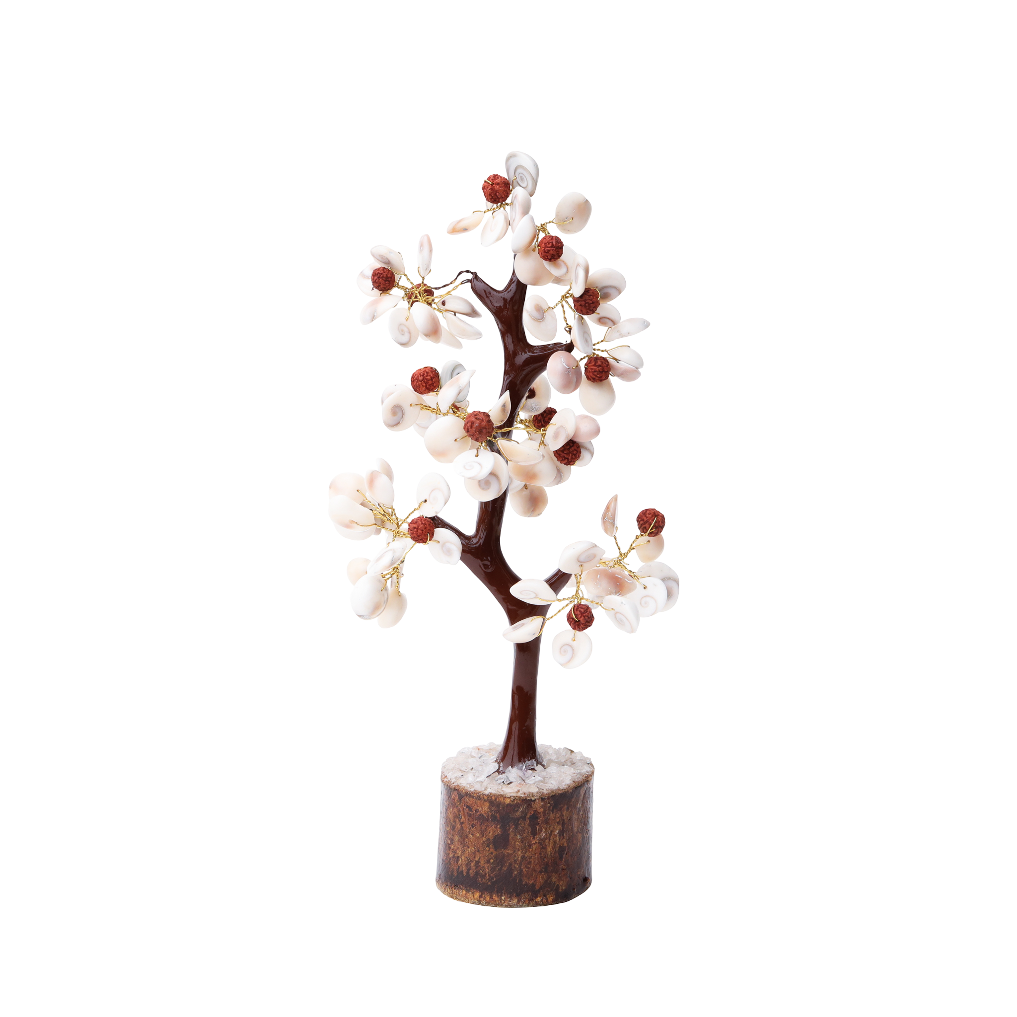 Cowrie Shell & Rudraksha Decorative Tree | AstroViz--1