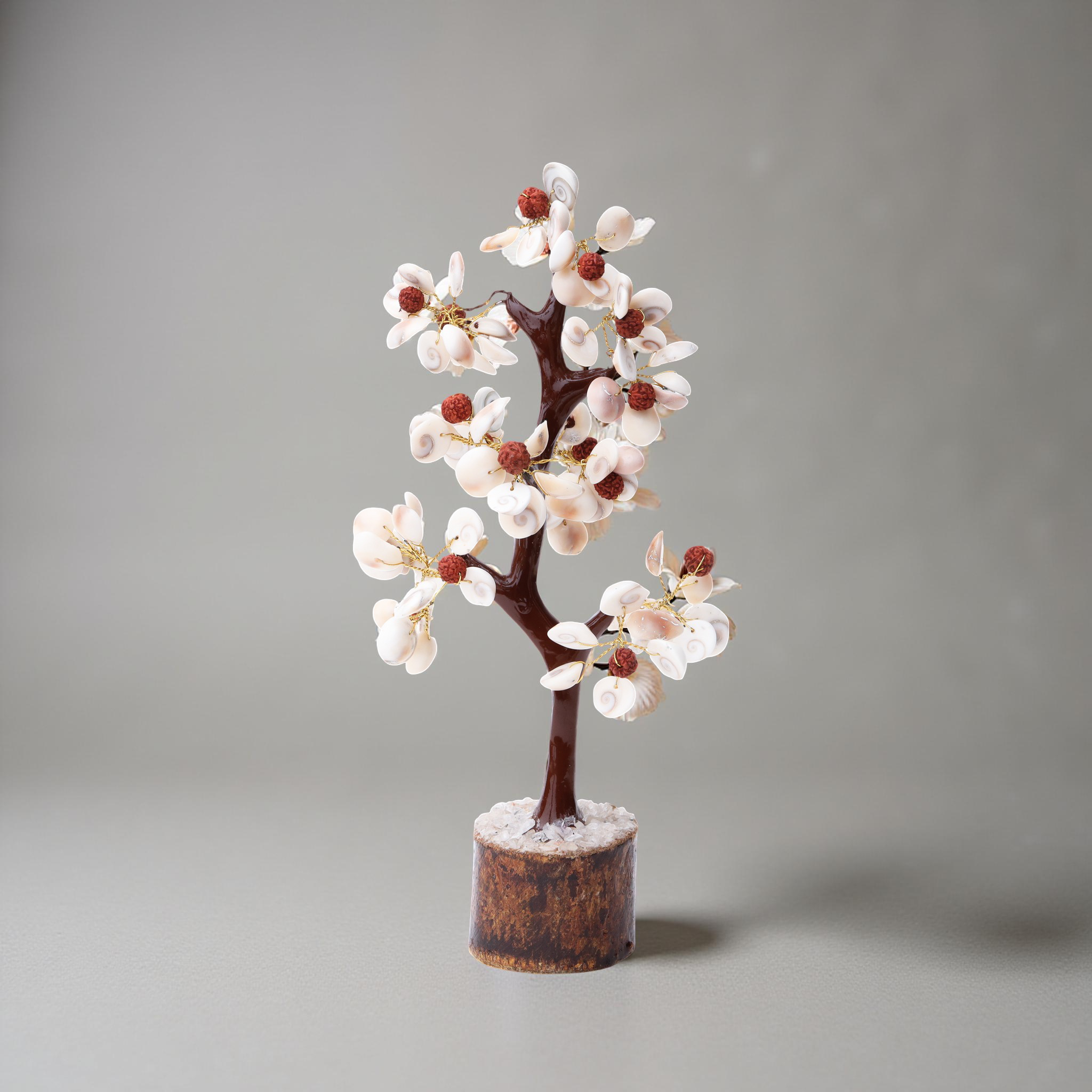 AstroViz handcrafted white cowrie shell blossom tree with Rudraksha accents on dark wooden tabletop, grey wall background--6