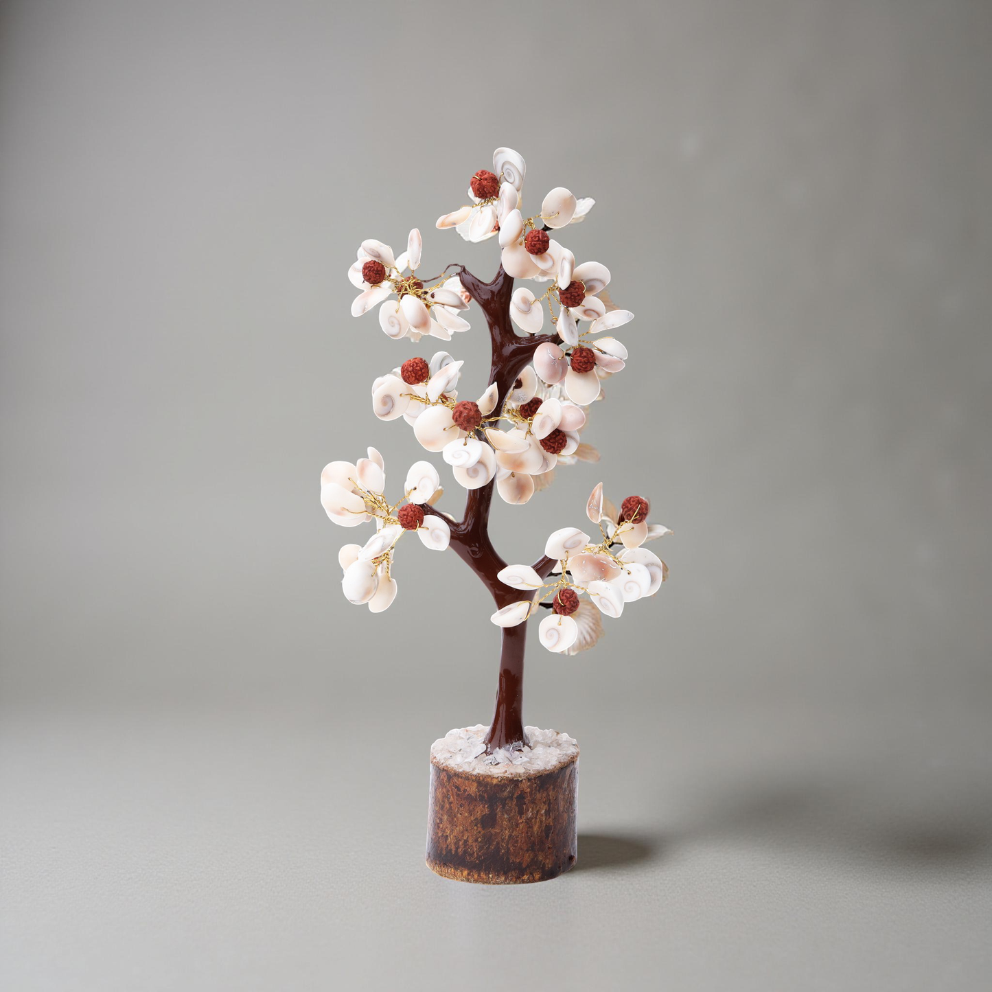 AstroViz handcrafted white cowrie shell blossom tree with Rudraksha accents on dark wooden tabletop, grey wall background